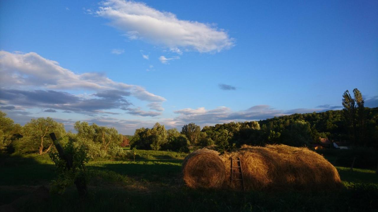 Szellosreti Vendeglak Balvanyos Exteriör bild